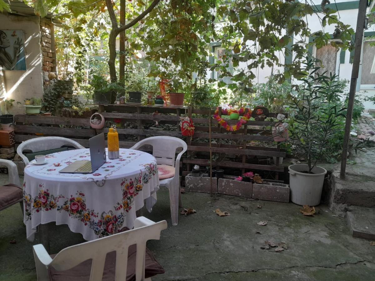 Bed and Breakfast Adem'S Cozy Terrace Retreat à Skopje Extérieur photo